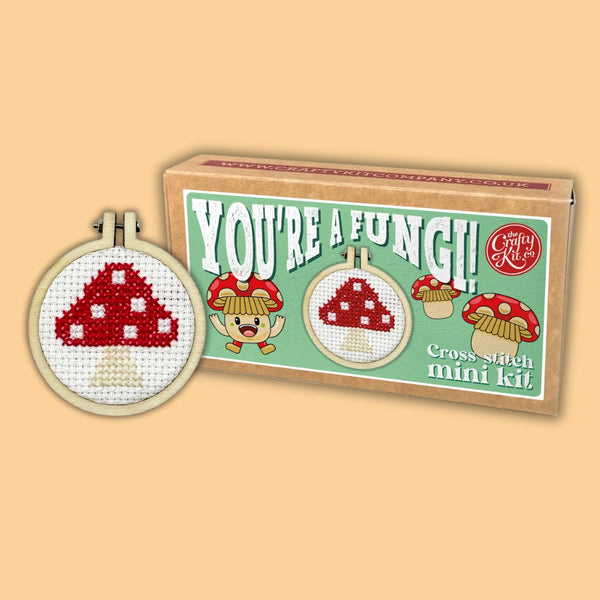 Mini Matchbox Cross Stitch Kit from Crafty Kit Company