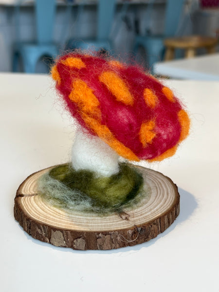 Needle Felted Mushroom Workshop - BROOKLINE