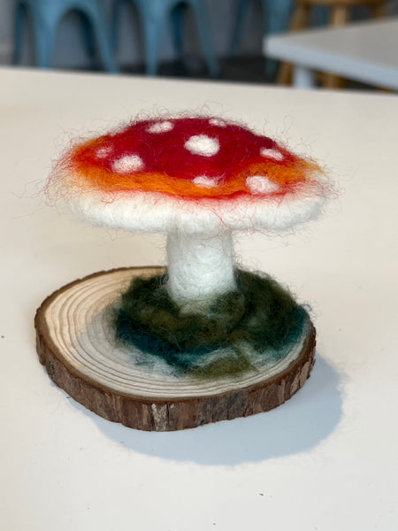 Needle Felted Mushroom Workshop - BROOKLINE