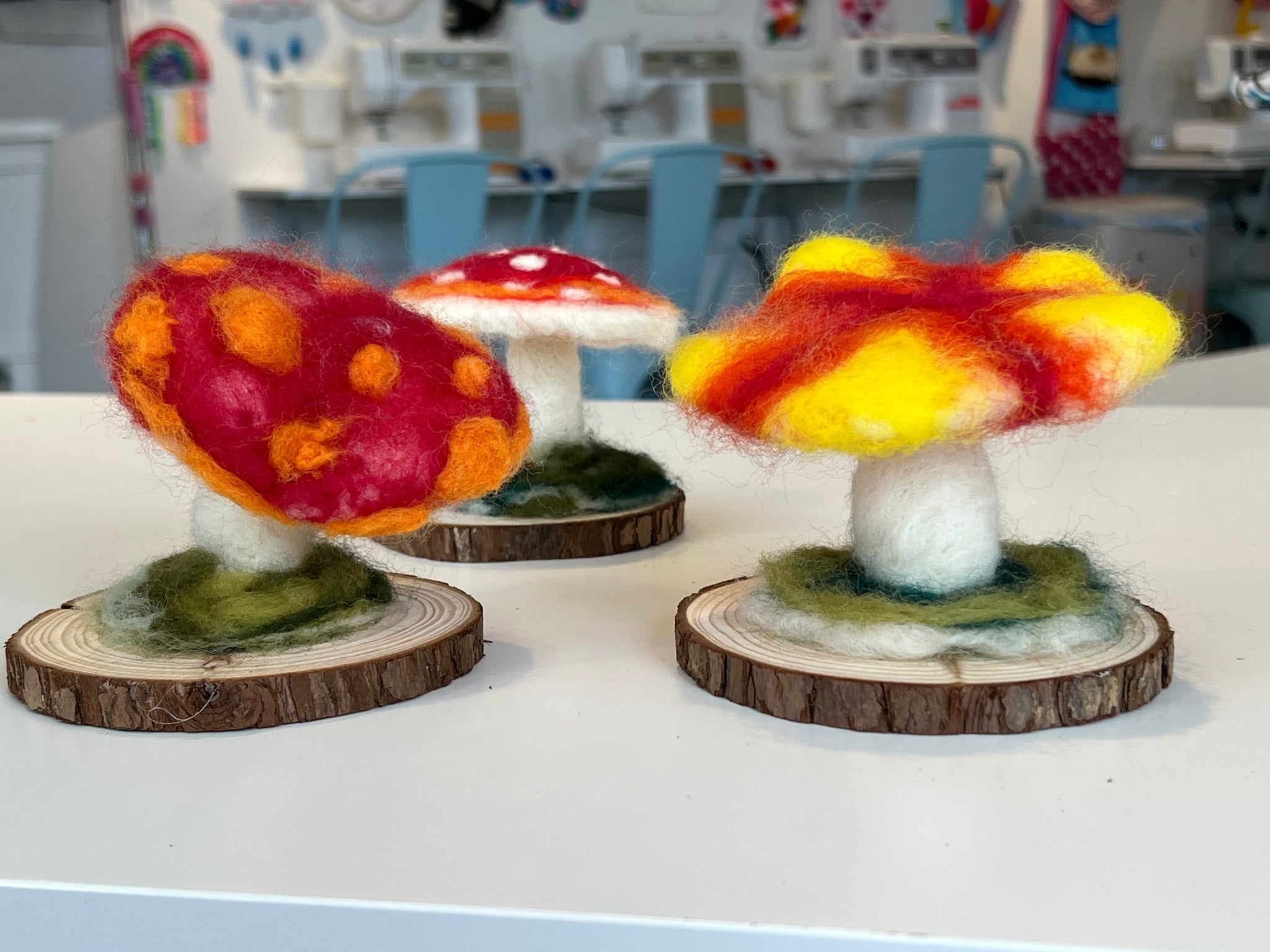 Needle Felted Mushroom Workshop - BROOKLINE