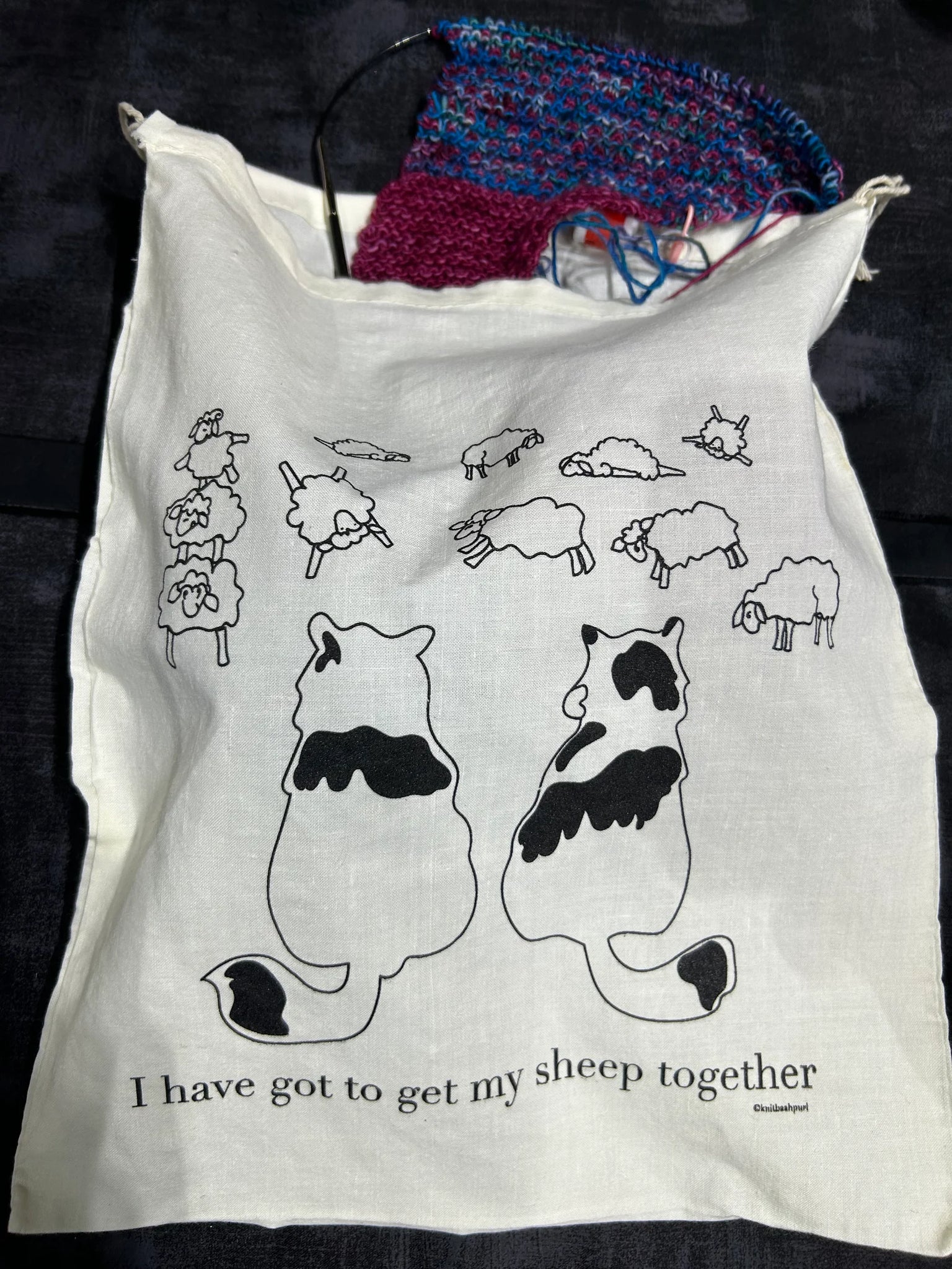 I have to get me "Sheep" together - Project Bag