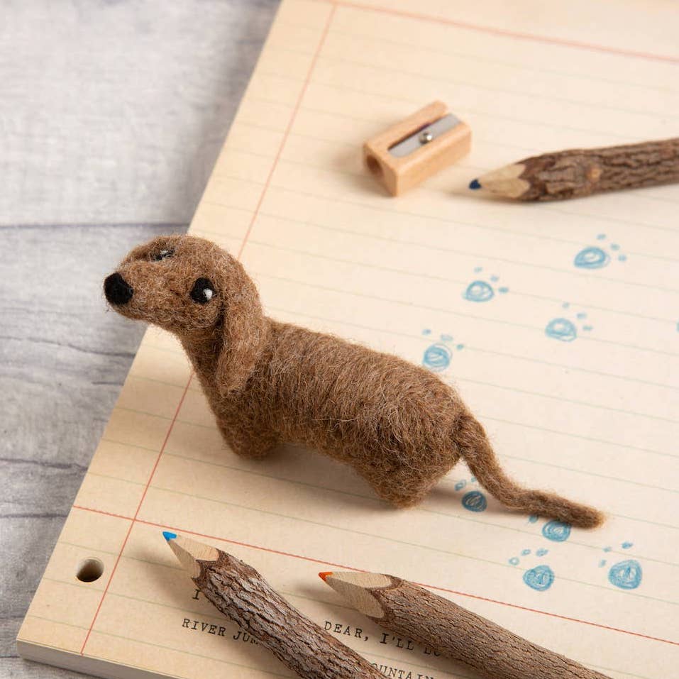 Stegosaurus Needle Felting Kit – Hawthorn Handmade