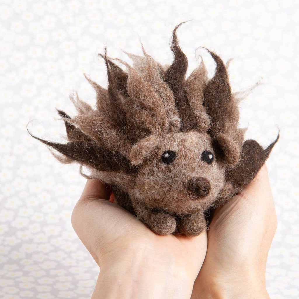 Stegosaurus Needle Felting Kit – Hawthorn Handmade