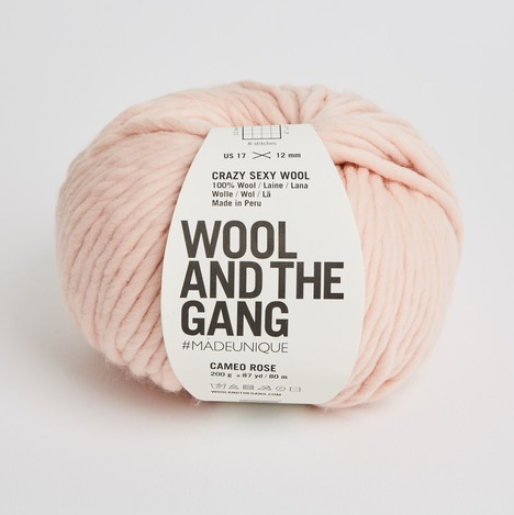 Wool And The Gang Crazy Sexy Wool Yarn