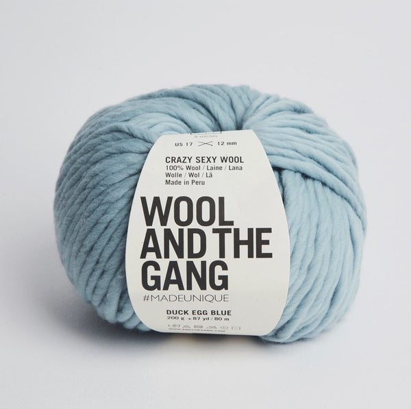 Wool And The Gang Crazy Sexy Wool Yarn