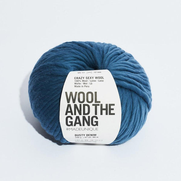 Wool And The Gang Crazy Sexy Wool Yarn