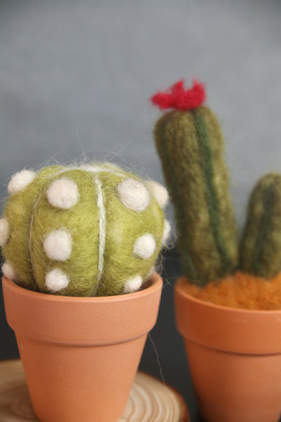 Needle Felt Cactus Workshop - BROOKLINE