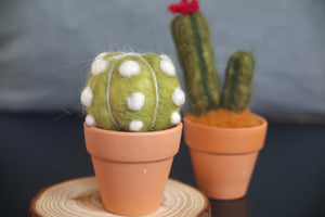 Needle Felt Cactus Workshop - BROOKLINE